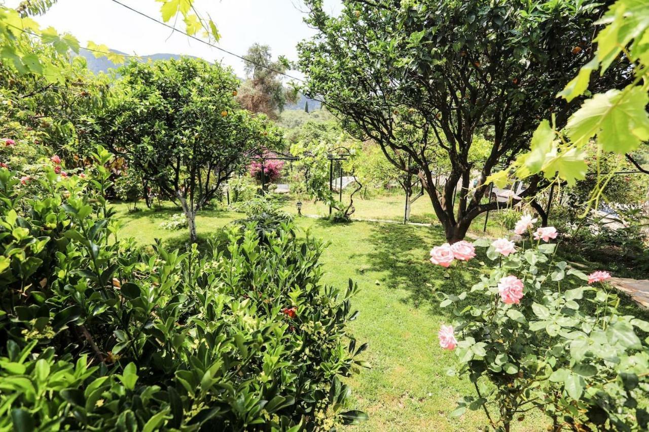 Garden House Kastellani ξενώνας Kastellanoi  Εξωτερικό φωτογραφία